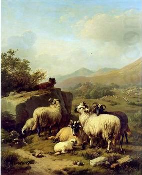 unknow artist Sheep 083 china oil painting image